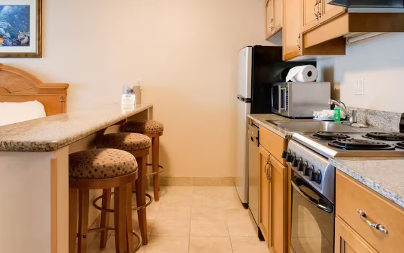 Kitchen area of queen guest room