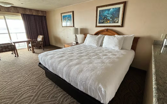 Guest room with one king bed